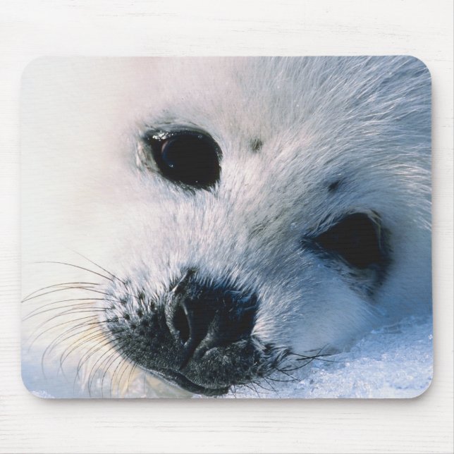 Siegel Mousepad (Vorne)