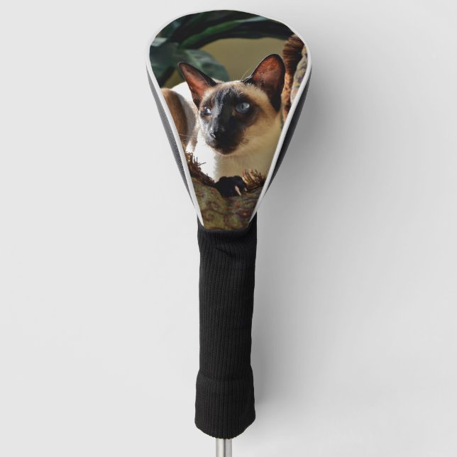 Siegel Point Siamese Cat on Comfy Pillow Golf Headcover (Vorderseite)