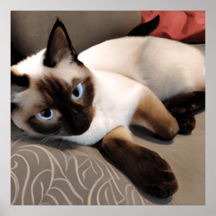 Siegel Point Siamese Digitales Portrait Poster