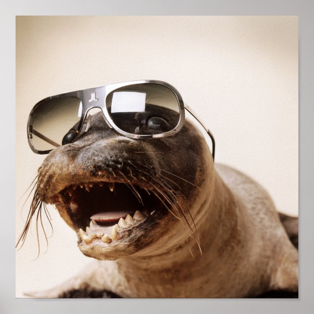 Siegel Poster (Vorne)