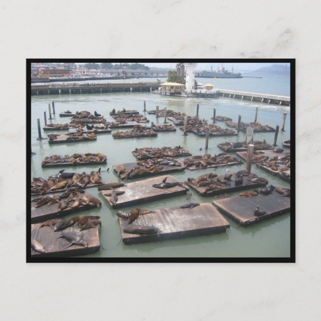 Siegel Postkarte (Vorderseite)