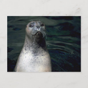 Siegel Postkarte