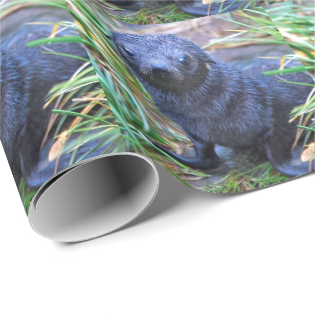 Siegel Pup Wrapping Paper Geschenkpapier (Rolleneckpunkt)
