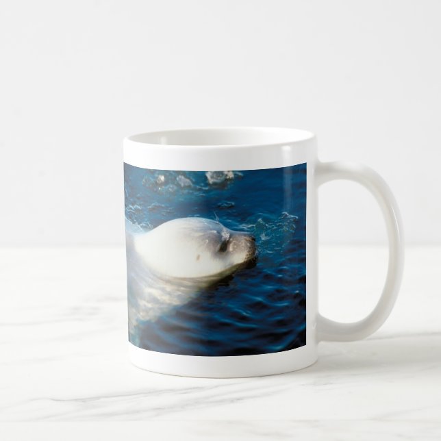 Siegel-Schwimmen Kaffeetasse (Rechts)