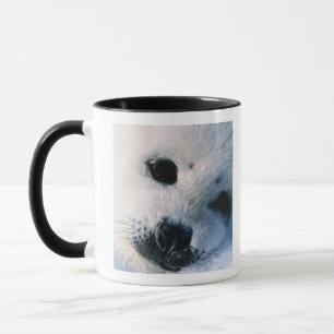 Siegel Tasse