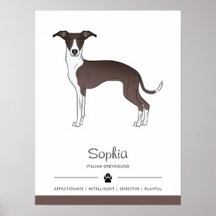 Siegel und Weißer Italienischer Windhund mit benut Poster