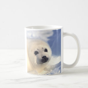 Siegel-Welpen-Gesicht Tasse