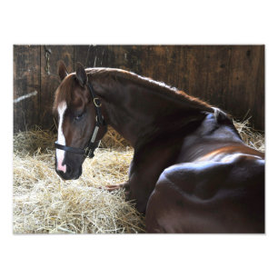 Sieger "Madefromlucky " West Virginia Derby Fotodruck