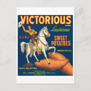 Siegreiche Marke Louisiana Süßkartoffeln Vintage Postkarte