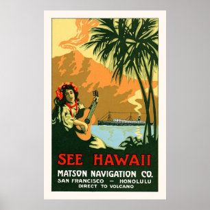 Siehe Hawaii Travel Poster