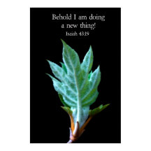 Siehe, ich mache etwas Neues