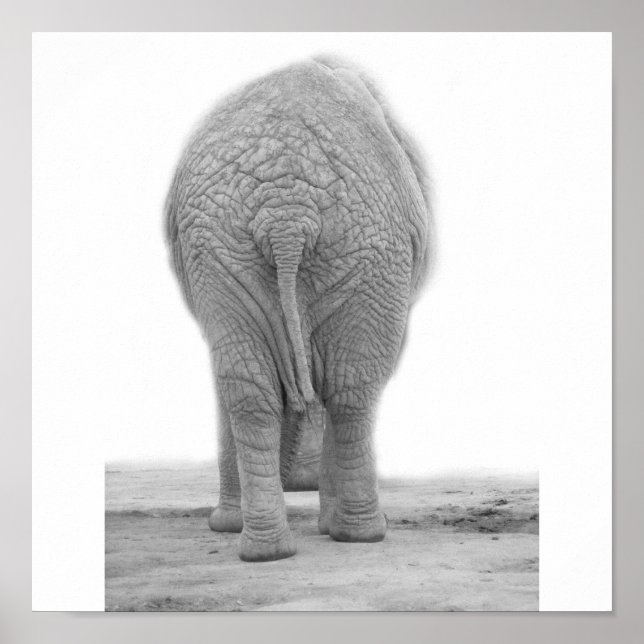 Sieht mein Bauch groß aus Poster (Vorne)