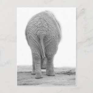 Sieht mein Bauch groß aus Postkarte