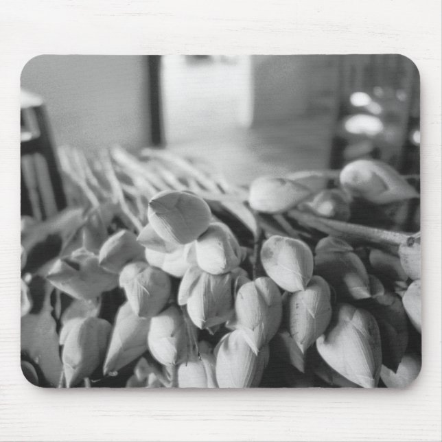 Siem Reap Kambodscha, Lotus Blume Mousepad (Vorne)