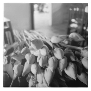 Siem Reap Kambodscha, Lotusblumen Fliese