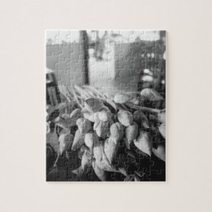 Siem Reap Kambodscha, Lotusblumen Puzzle
