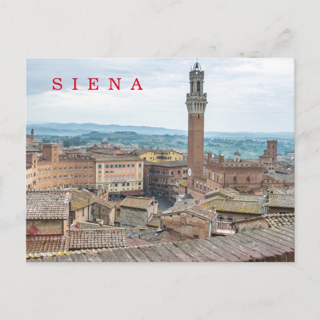 Siena Piazza del Campo Postkarte (Vorderseite)