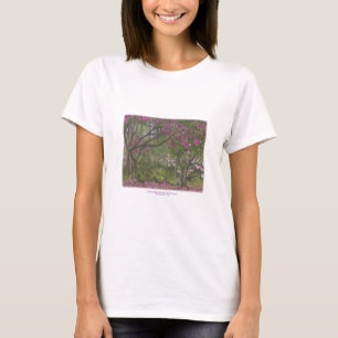 Sierra Azul Kinderzimmer & Garden T-Shirt