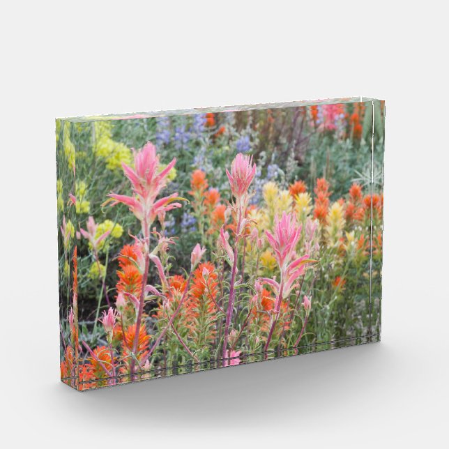 Sierra Buttermilch-Wildblumen Fotoblock (Links)