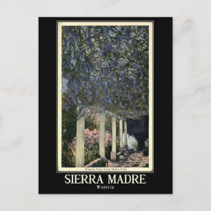Sierra Madre, Kalifornien, Vintage Postkarte