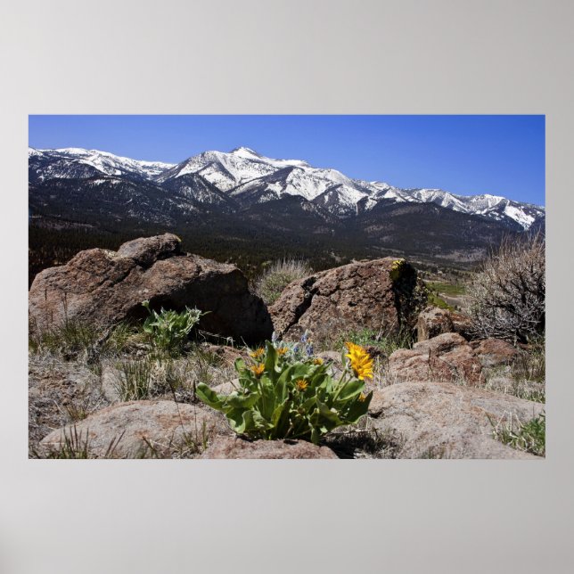 Sierra Mountain View Poster (Vorne)