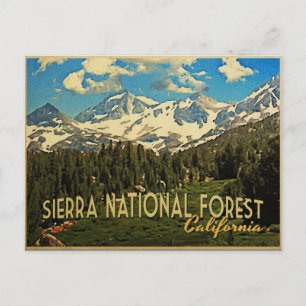 Sierra National Forest California Postkarte