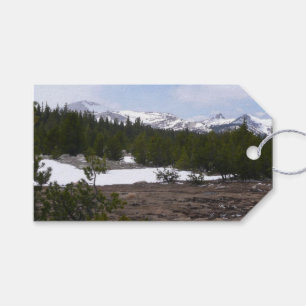 Sierra Nevada Berge und Schnee auf Yosemite Geschenkanhänger