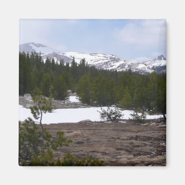 Sierra Nevada Berge und Schnee auf Yosemite Magnet (Vorne)