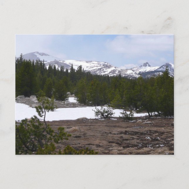 Sierra Nevada Berge und Schnee auf Yosemite Postkarte (Vorderseite)