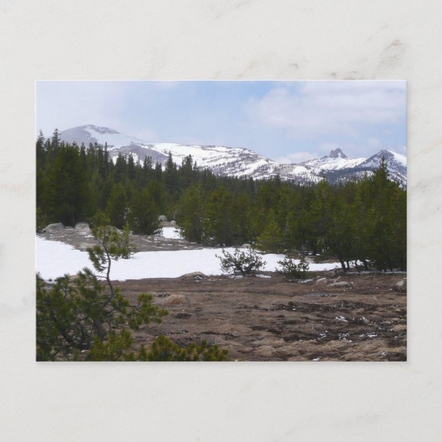 Sierra Nevada Berge und Schnee auf Yosemite Postkarte (Vorderseite)