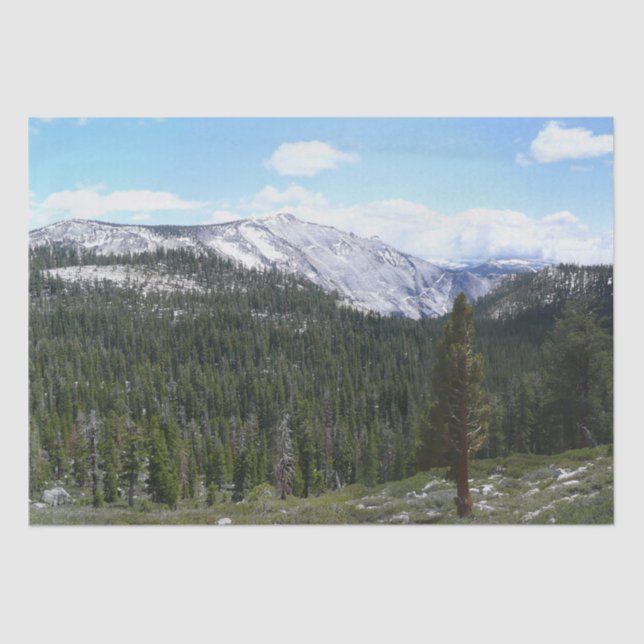 Sierra Nevada Gebirge II aus Yosemite Seidenpapier (Vorderseite)