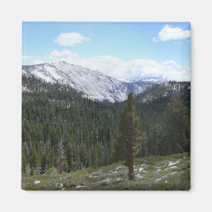 Sierra Nevada Gebirge II von Yosemite Magnet