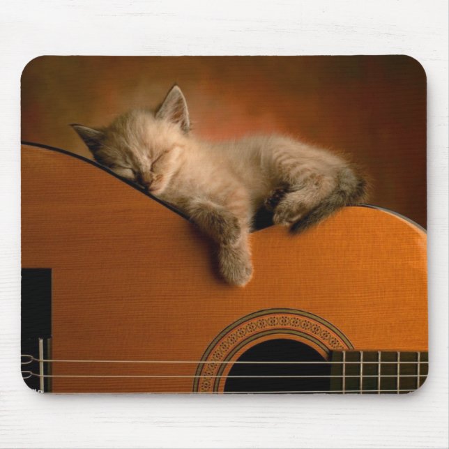 Siesta des Kätzchens auf Gitarre Mousepad (Vorne)
