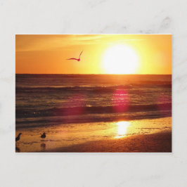Siesta Key Beach Sunset Postkarte