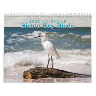 Siesta Key Birds - Kalender 2022
