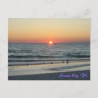 Siesta Key Florida Sunset Postkarte