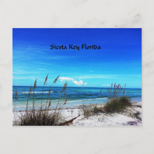 Siesta Key Postkarte