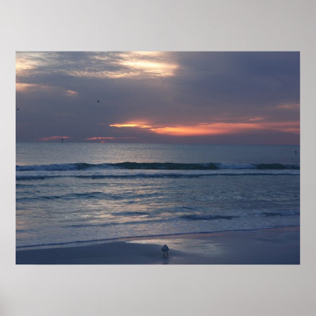 Siesta Key Sunsets Poster (Vorne)