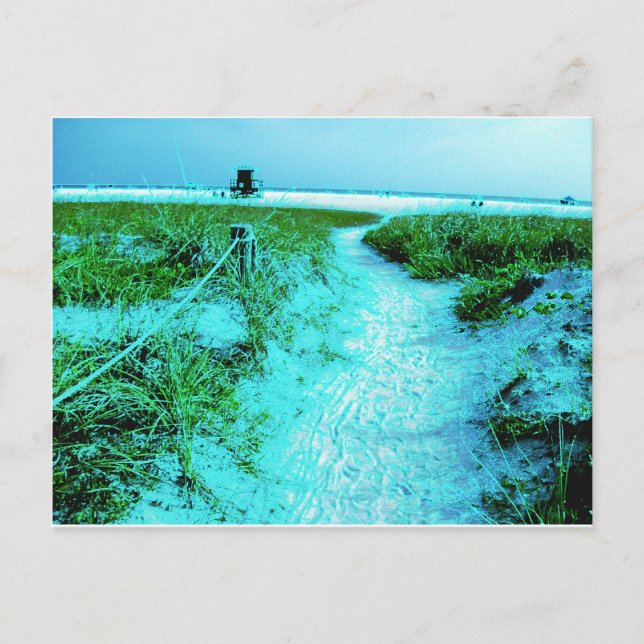 Siesta Keys Beach in farbenfrohen Edges Themed Ges Postkarte (Vorderseite)