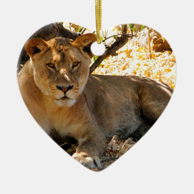 Siesta Time Keramikornament (Vorne)