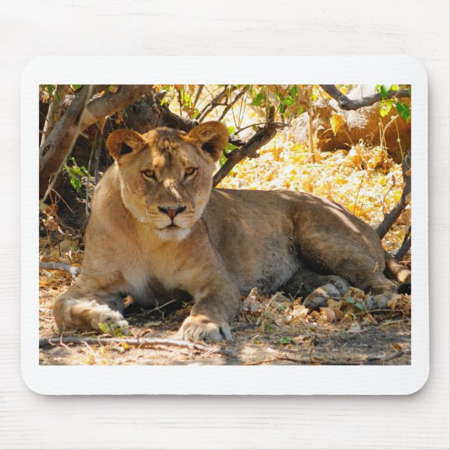 Siesta Time Mousepad (Vorne)