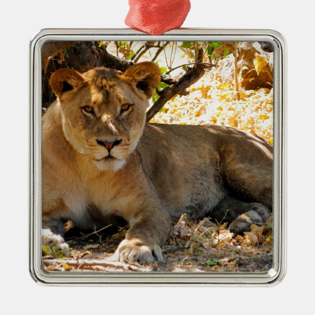 Siesta Time Ornament Aus Metall (Vorne)