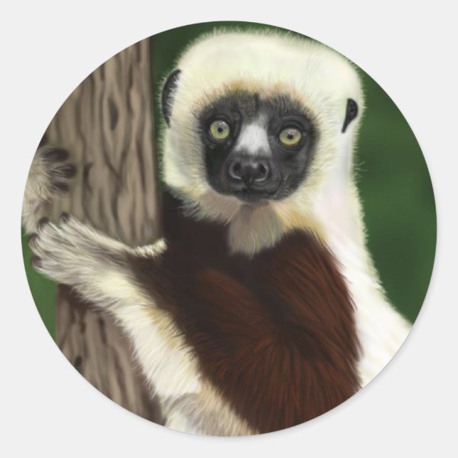 Sifaka-Aufkleber Runder Aufkleber (Vorderseite)