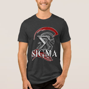 SIGMA 3b Herren Basic T-Shirt Tri-Blend Shirt