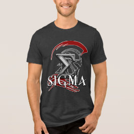 SIGMA 3b Men's Basic T-Shirt Tri-Blend Shirt