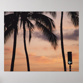 Signal und Palm Tree Poster