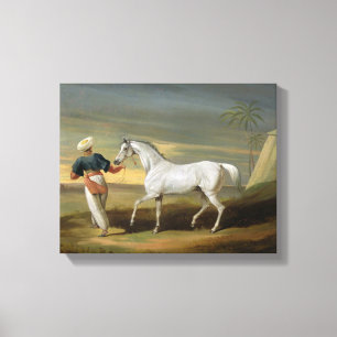 Signalisieren Sie, ein grauer Araber, mit einem Leinwanddruck