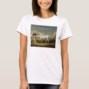 Signalisieren Sie, ein grauer Araber, mit einem T-Shirt