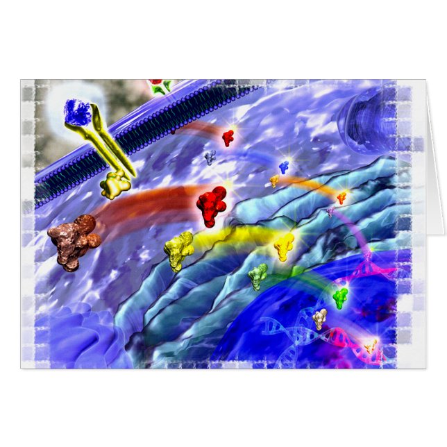 Signalisierenlandkarte (Vorderseite (Horizontal))