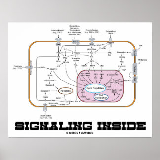 Signalisierung im Inneren (Signalweg) Poster